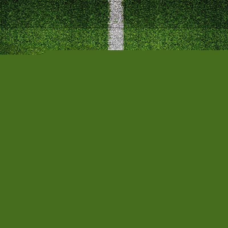 他的缺席将 他的缺席将