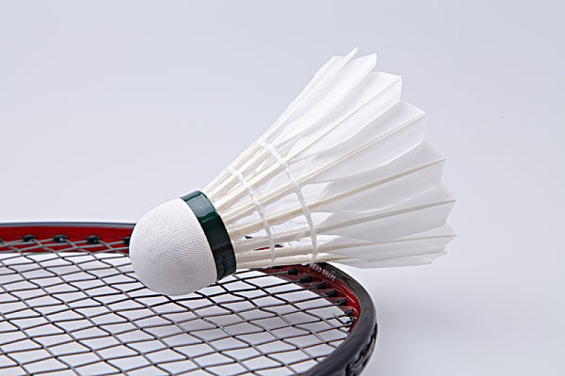 定向与亲子 定向与亲子